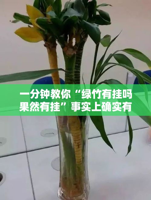 一分钟教你“绿竹有挂吗果然有挂”事实上确实有挂