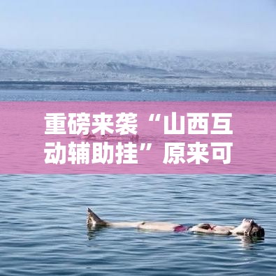 重磅来袭“山西互动辅助挂”原来可以开挂