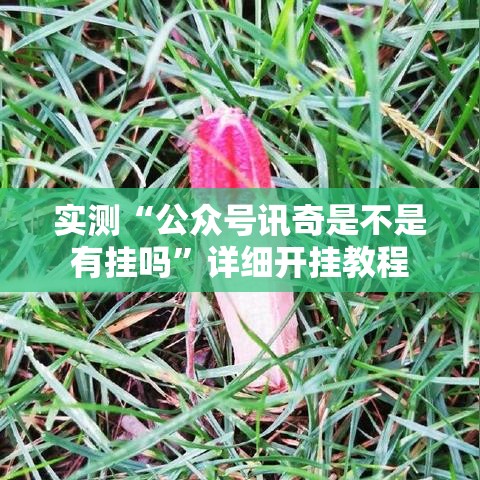 实测“公众号讯奇是不是有挂吗”详细开挂教程