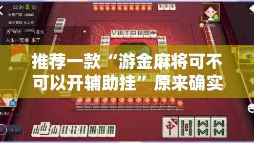 推荐一款“游金麻将可不可以开辅助挂”原来确实有挂