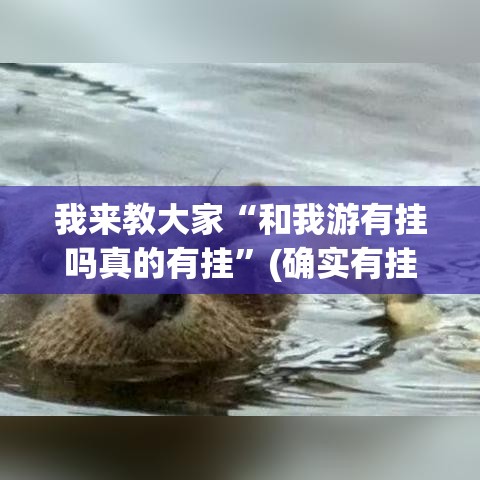 我来教大家“和我游有挂吗真的有挂”(确实有挂)