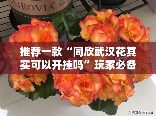 推荐一款“同欣武汉花其实可以开挂吗”玩家必备神器