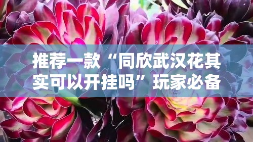 推荐一款“同欣武汉花其实可以开挂吗”玩家必备神器