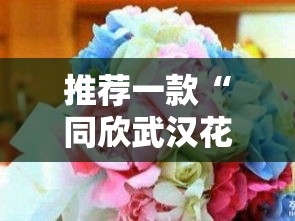 推荐一款“同欣武汉花其实可以开挂吗”玩家必备神器