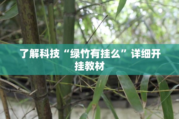 了解科技“绿竹有挂么”详细开挂教材