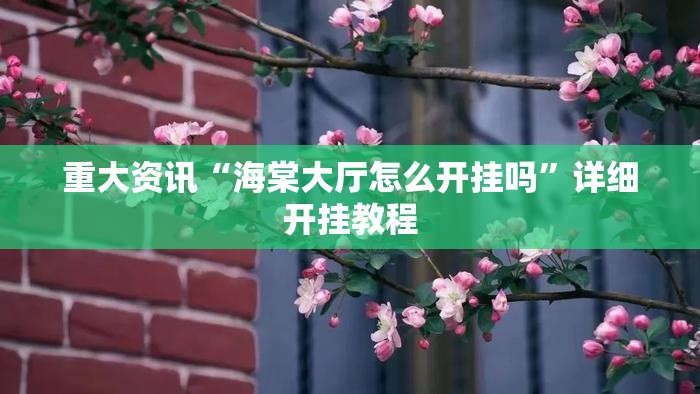 重大资讯“海棠大厅怎么开挂吗”详细开挂教程