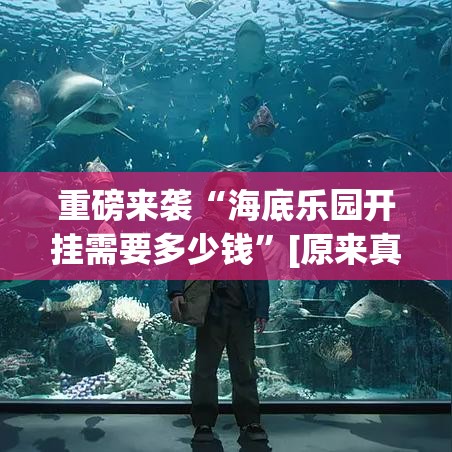 重磅来袭“海底乐园开挂需要多少钱”[原来真的有挂]