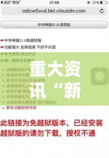 重大资讯“新讯奇透视专用神器”详细开挂教程