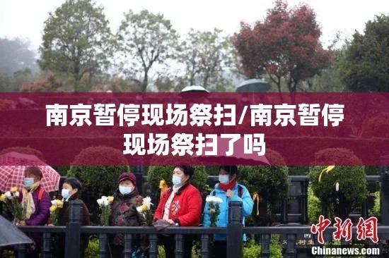 南京暂停现场祭扫/南京暂停现场祭扫了吗