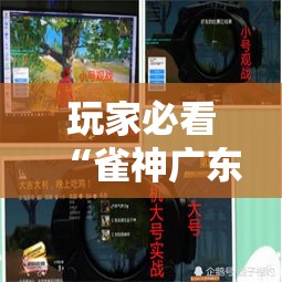 玩家必看“雀神广东有透视软件吗”开挂作弊