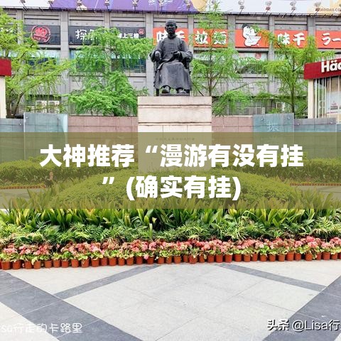 大神推荐“漫游有没有挂”(确实有挂)