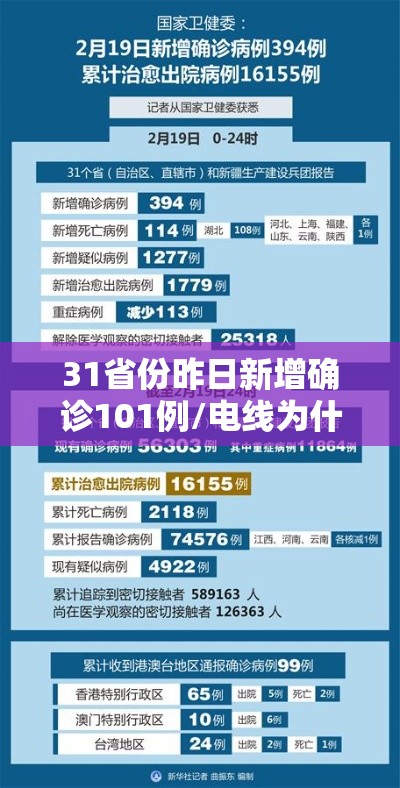 31省份昨日新增确诊101例/电线为什么是两根