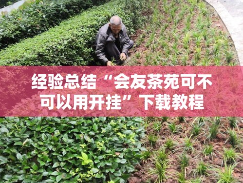 经验总结“会友茶苑可不可以用开挂	”下载教程
