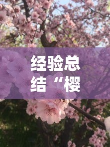 经验总结“樱花梦雨一直输怎么办”其实确实有挂