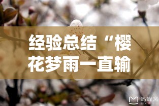 经验总结“樱花梦雨一直输怎么办”其实确实有挂