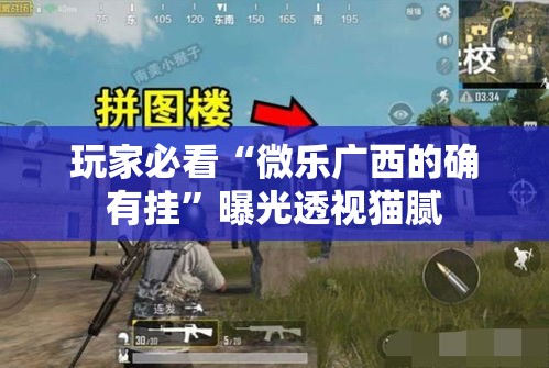 玩家必看“微乐广西的确有挂”曝光透视猫腻