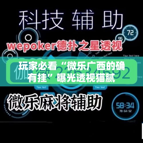 玩家必看“微乐广西的确有挂”曝光透视猫腻