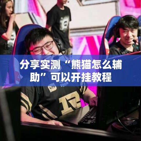 分享实测“熊猫怎么辅助	”可以开挂教程