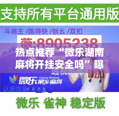热点推荐“微乐湖南麻将开挂安全吗	”曝光透视猫腻