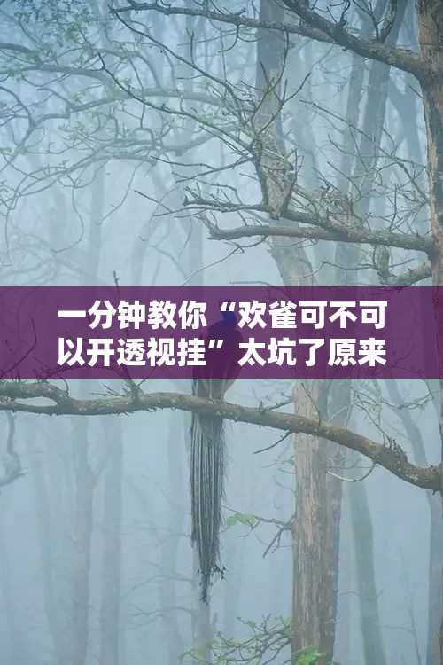 一分钟教你“欢雀可不可以开透视挂”太坑了原来有挂