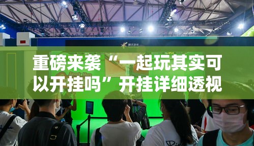 重磅来袭“一起玩其实可以开挂吗”开挂详细透视辅助
