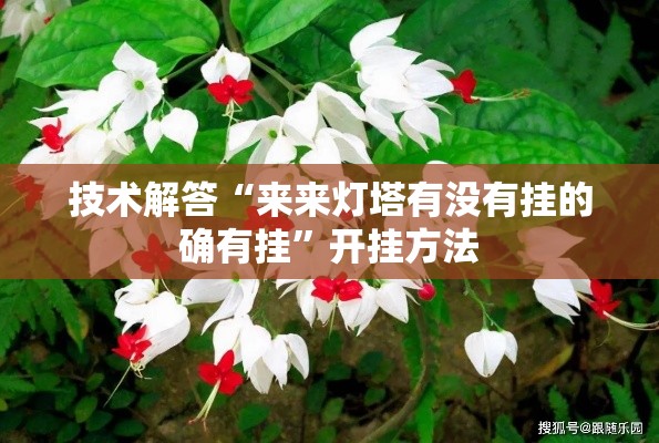 技术解答“来来灯塔有没有挂的确有挂”开挂方法