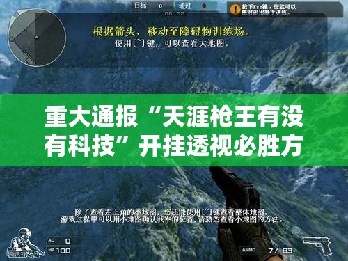 重大通报“天涯枪王有没有科技”开挂透视必胜方法