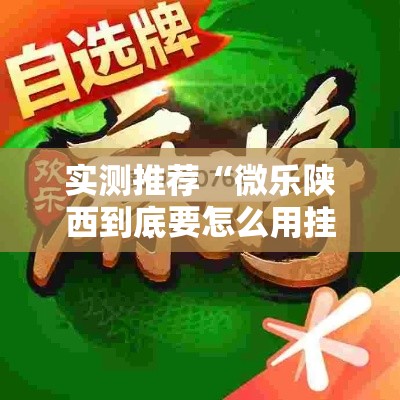 实测推荐“微乐陕西到底要怎么用挂”其实确实有挂