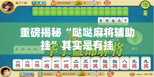 重磅揭秘“哒哒麻将辅助挂	”其实是有挂