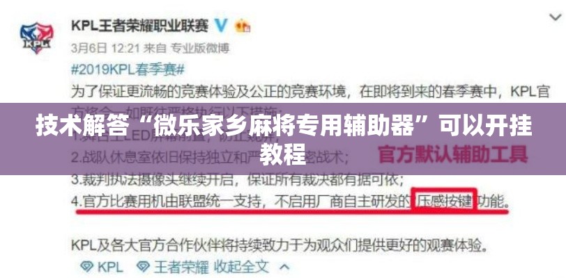 技术解答“微乐家乡麻将专用辅助器”可以开挂教程