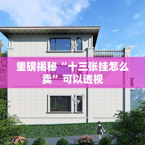重磅揭秘“十三张挂怎么卖”可以透视
