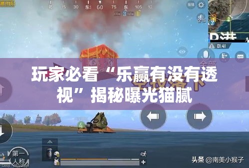 玩家必看“乐赢有没有透视”揭秘曝光猫腻