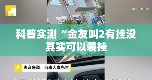 科普实测“金友叫2有挂没其实可以装挂