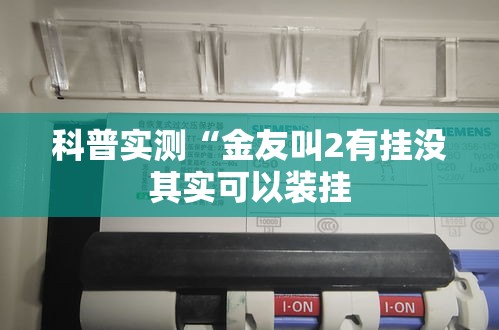 科普实测“金友叫2有挂没其实可以装挂