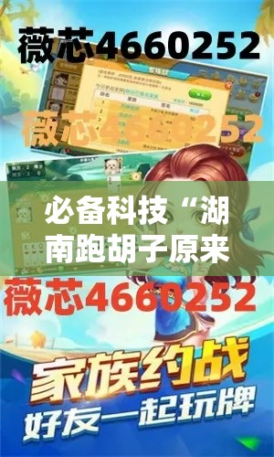 必备科技“湖南跑胡子原来可以开挂”开挂步骤方法