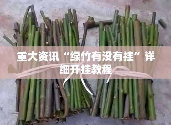 重大资讯“绿竹有没有挂”详细开挂教程
