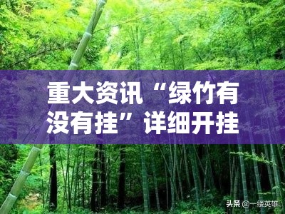 重大资讯“绿竹有没有挂”详细开挂教程