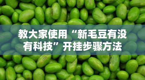 教大家使用“新毛豆有没有科技	”开挂步骤方法