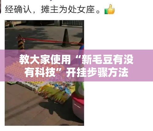 教大家使用“新毛豆有没有科技”开挂步骤方法