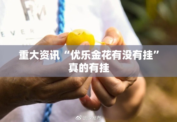 重大资讯“优乐金花有没有挂”真的有挂