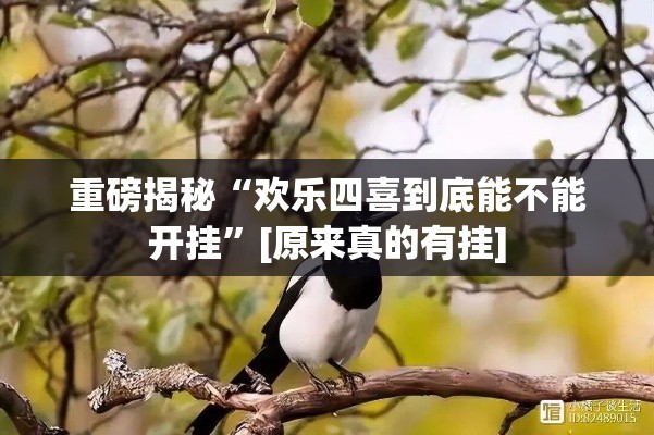 重磅揭秘“欢乐四喜到底能不能开挂	”[原来真的有挂]