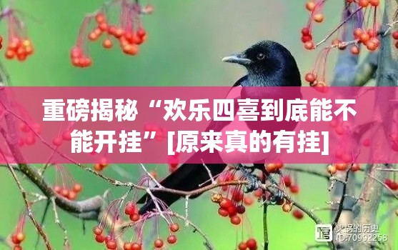 重磅揭秘“欢乐四喜到底能不能开挂”[原来真的有挂]