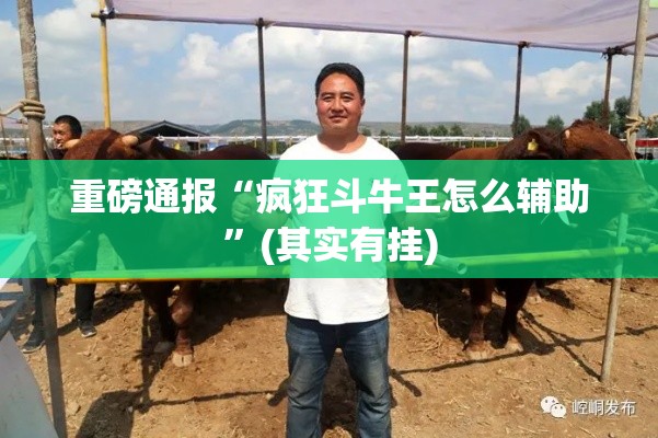 重磅通报“疯狂斗牛王怎么辅助”(其实有挂)