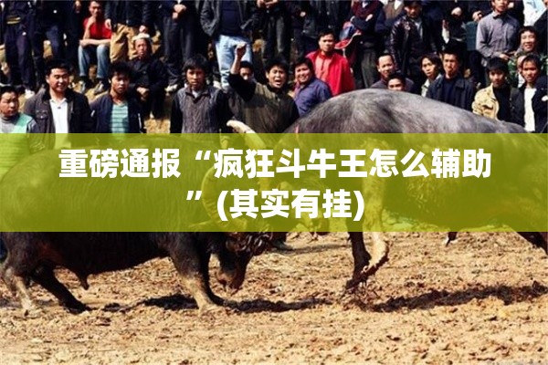 重磅通报“疯狂斗牛王怎么辅助”(其实有挂)