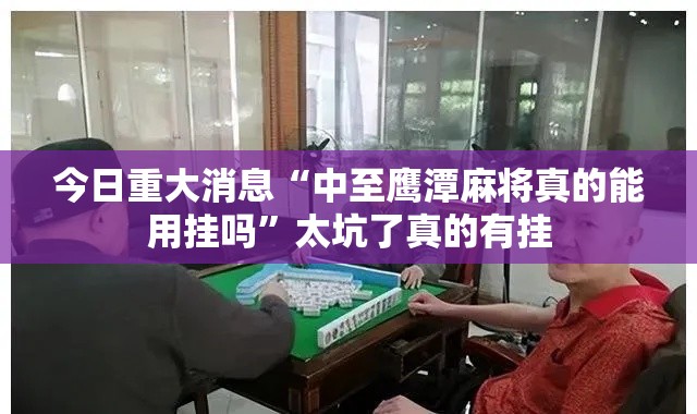 今日重大消息“中至鹰潭麻将真的能用挂吗”太坑了真的有挂