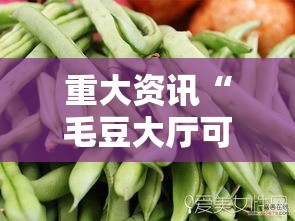重大资讯“毛豆大厅可以开挂吗”详细开挂步骤