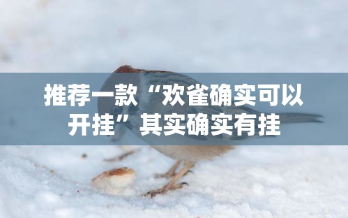 推荐一款“欢雀确实可以开挂”其实确实有挂