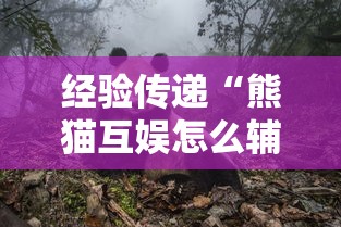 经验传递“熊猫互娱怎么辅助”其实确实有挂