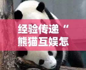 经验传递“熊猫互娱怎么辅助	”其实确实有挂