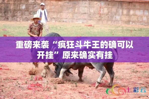 重磅来袭“疯狂斗牛王的确可以开挂”原来确实有挂